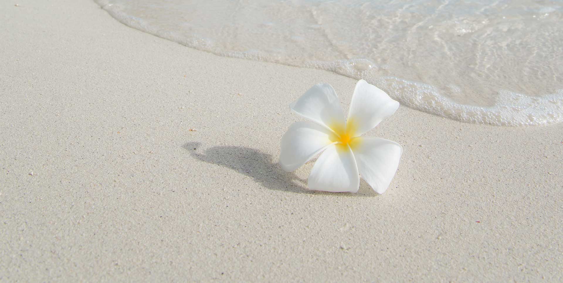 sommer-jcob-nasyr-egjefQiN0WI-unsplash